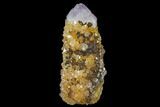 Sunshine Cactus Quartz Crystal - South Africa #115151-1